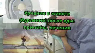 Урчание в животе бурление после еды  причины, лечение