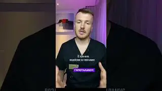 Почему клонит в сон после еды?
