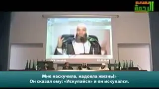 Истории для ув веры 15) Американский миллиардер