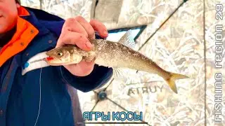 ▶️Косы.Ягры.На машине🚙до лунок.Выгнало воду
