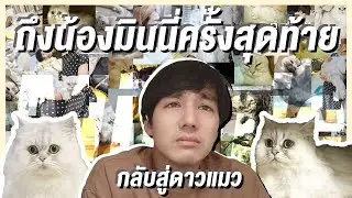 เก็บไว้ในความทรงจำน้องมินนี่ [mousenatcha]