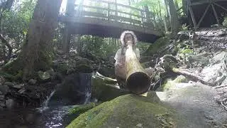 Dustin Borlack - Smoky Mountain Didgeridoo