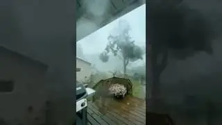 Крокодилы попадаются в домах у Флориде.