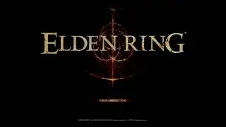 Beat ELDEN RING 2nd playthru