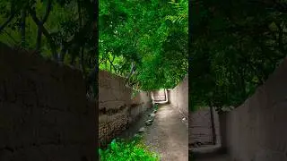 #automobile #travel #video #nature #душанбе #mountains #рашт #rek #love #birds