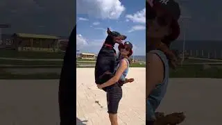 Если тебе нужен кто-то благодарный, заведи собаку.Р. Харрис