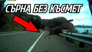 РЕАГИРАМ НА НАЙ-ТЕЖКИТЕ АВТОМОБИЛНИ КАТАСТРОФИ #30