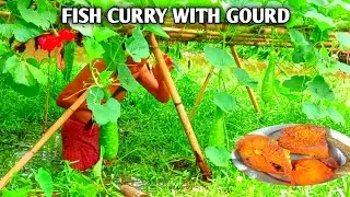 দেশী লাউ দিয়ে মাছ ভাজা|Fish curry|Fish curry recipe