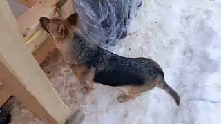 Итог 14 дней и сумма затрат на данном этапе