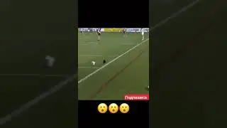 Когда понимаешь, что кот в футбол играет лучше сборной