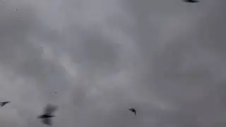 футаж 