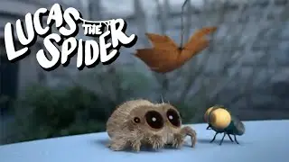 Lucas the Spider's Play Time in Fall 🍂 + More Kids Cartoons