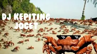 Kepiting Joget