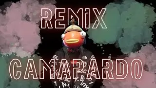 Camapardo Remix Ft. DjDown [OFFICIAL] - ValurdosMusic