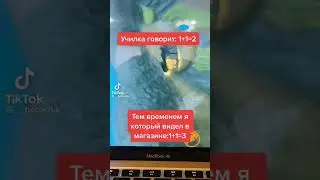 Мем №71 