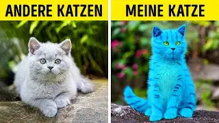 GENIALE GADGETS UND HACKS FÜR DEINE LIEBEN HAUSTIERE