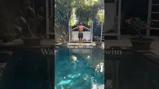 Full day in Bali