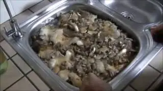 COME SI PULISCONO I FUNGHI PIOPPINI FACILE E VELOCE