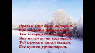 Яратам мин кыш айларын,бәсләнгән урманнарын