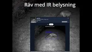 Test av en Reolink RLC-520A