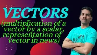 vector 4|123 Physics
