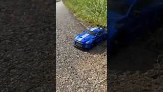 Ausgesetzter Mustang? 😭💔