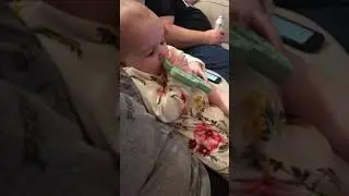 Chewing on a cactus