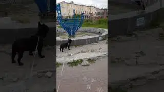 Пацанская Стрелка! Базар-вокзал))