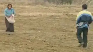 Ekin Ektim Çöllere (Çıt Çıt Çıt Çıt Çedene)
