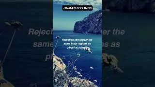 REJECTION~PAIN💯🫶 HUMAN FEELINGS 