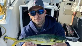 Casting for chicken Mahi Mahi. #fish #fishing #outdoors #nature #outdoors #ocean #saltlife #shorts