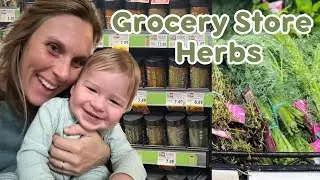 Finding herbs at the grocery store (Also... guess who I met?!)