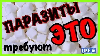 Глисты и сахар Паразиты диктуют вкус Дикая тяга к сладостям  Нами управляет невидимый житель