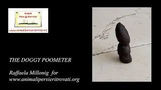 IN ENGLISH: The Doggy Poometer (Raffaela Millonig for www.animalipersieritrovati.org)