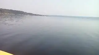 Сылва