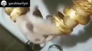 Altınlarla el yıkayan görgüsüz ablamız