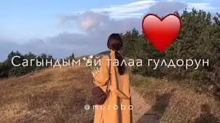 Сагындым жазды.