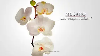 Mecano - La fiesta nacional (Premezcla '83)