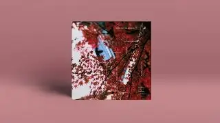 Hugo LX - Hikari (reprise)