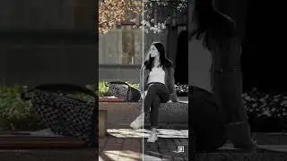 Black and White Lightroom Presets | Black and White LUT | Black Magic LUT | Black and White Presets