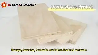 Hot seller-structural and non-structural pine plywood