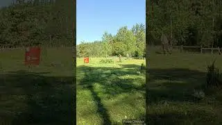 покос травы 