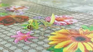 Маленький богомол поймал муху