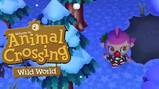 Animal Crossing: Wild World - The Best Christmas Present Ever...