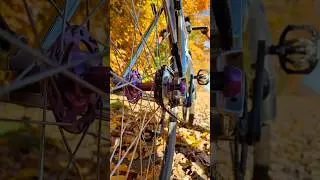 Golden hour & autumn vibes 🍁 TrackloX fixie: made for fall rides. Customize yours! 🚴‍♂️