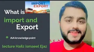 What is import & export /Global Trade Insights: Understanding Import and Export