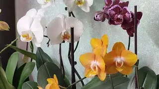 27.05.24.ПРИГЛАШАЮ В ГОСТИ 🤗.