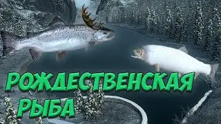 Fishing planet PS4 # Рождественская рыба/ Рогатый лосось / Пушная форель