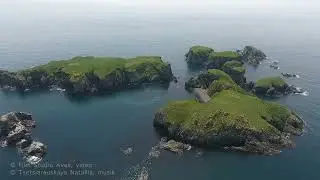 Ocean of life. Music in cinema. Океан жизни. Музыка в кино.