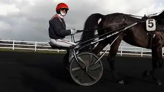 Pourquoi les chevaux courent-ils sur une piste noire?